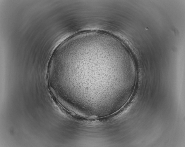 X0000111791129200908061131