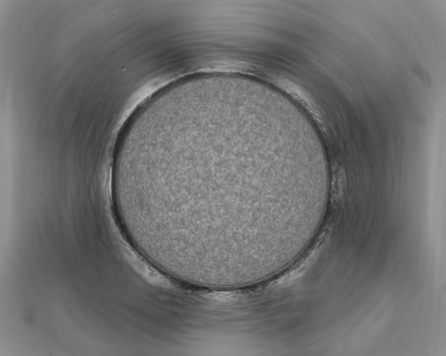 X0000111791130200908061131