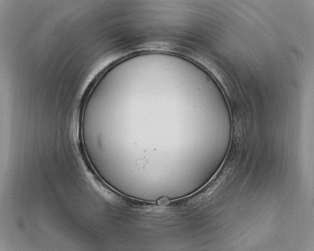 X0000111791131200908061131