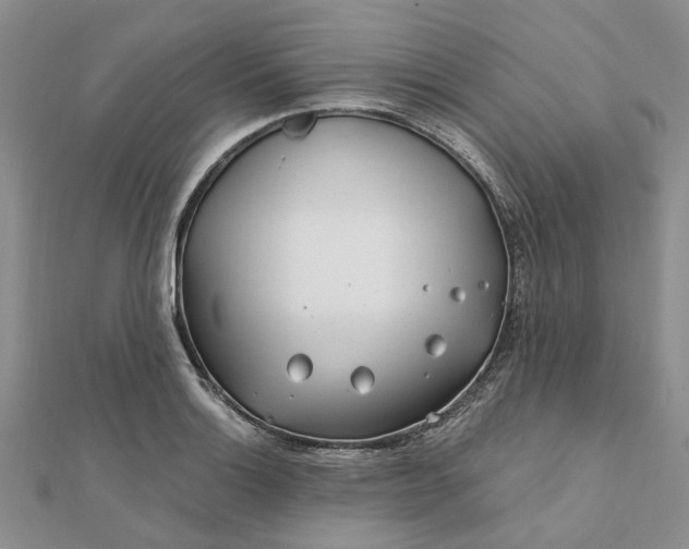 X0000111791132200908061131