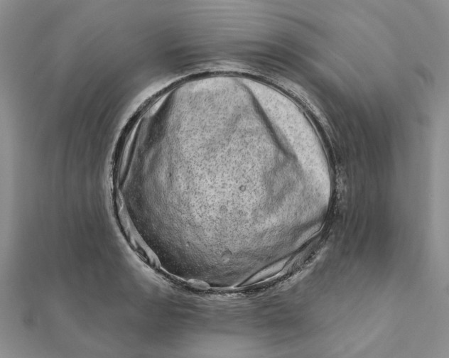 X0000111791133200908061131