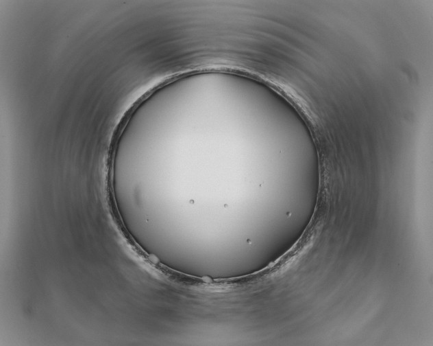 X0000111791134200908061131