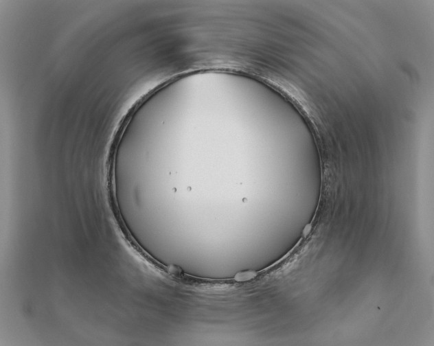 X0000111791135200908061131