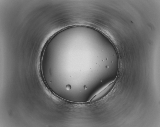 X0000111791136200908061131