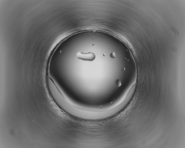 X0000111791138200908061131