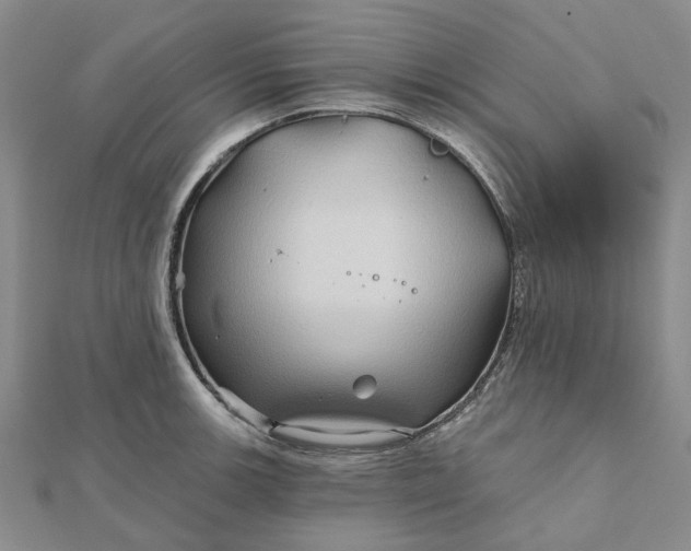 X0000111791139200908061131