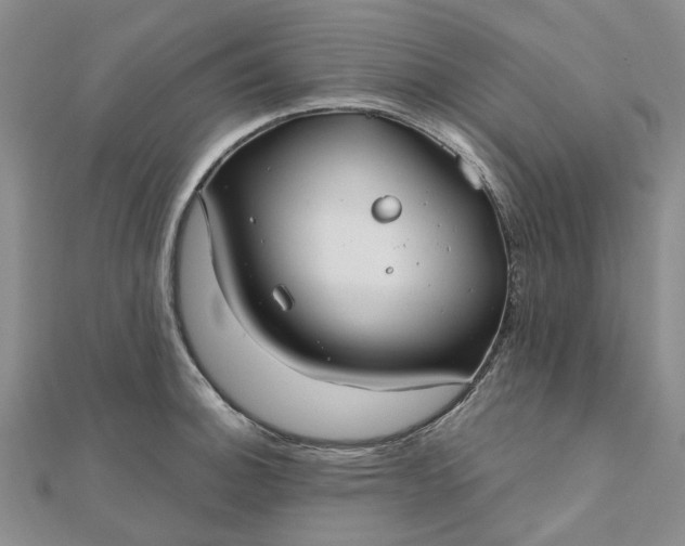 X0000111791140200908061131