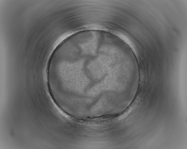 X0000111791141200908061131