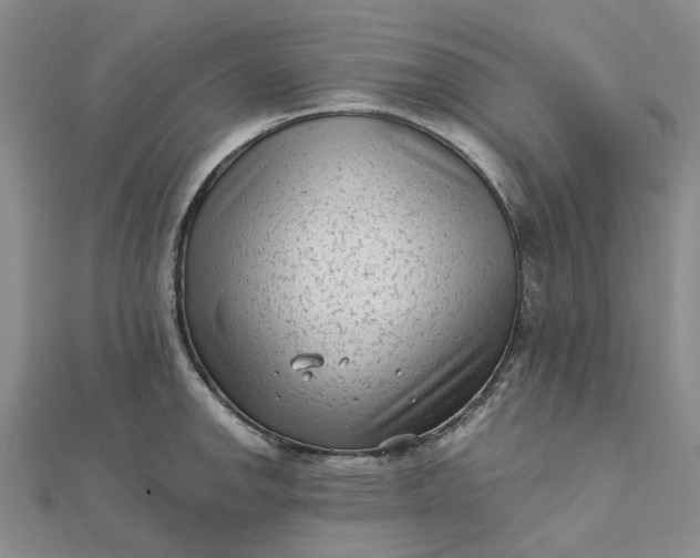 X0000111791142200908061131