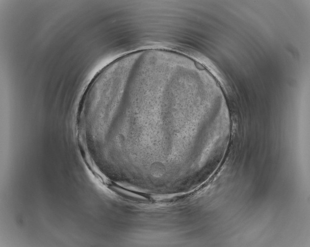 X0000111791143200908061131