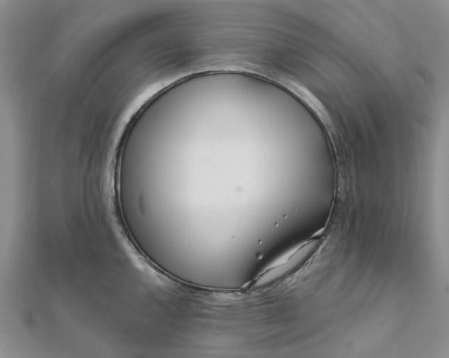 X0000111791144200908061131