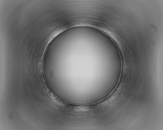 X0000111791145200908061131