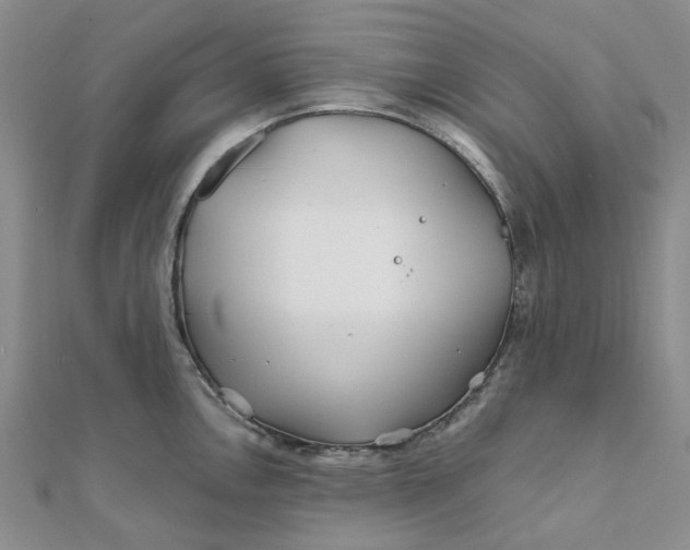 X0000111791146200908061131