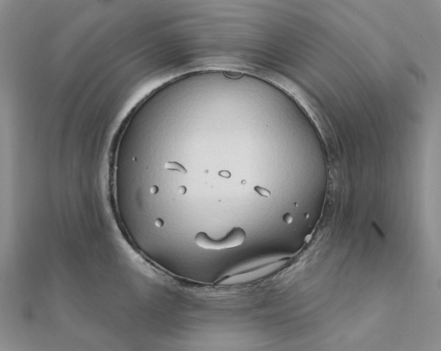 X0000111791147200908061131