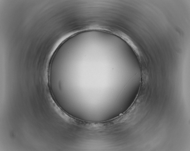 X0000111791148200908061131