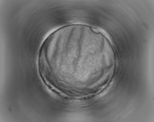 X0000111791149200908061131