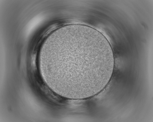 X0000111791150200908061131