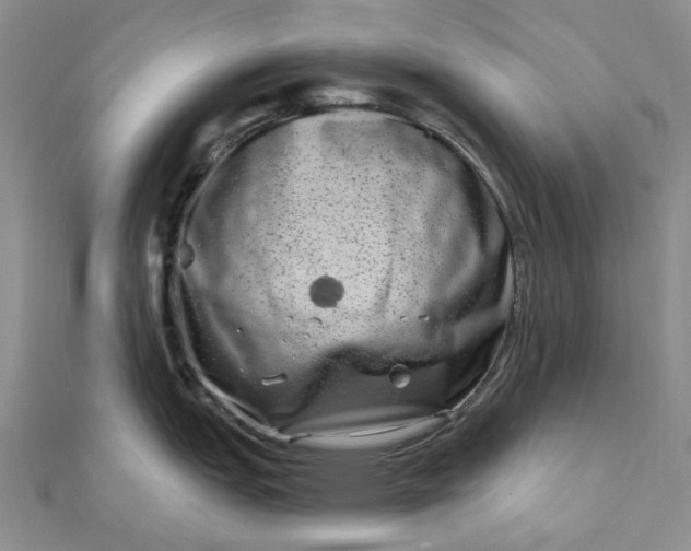 X0000111791151200908061131