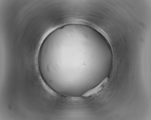 X0000111791152200908061131