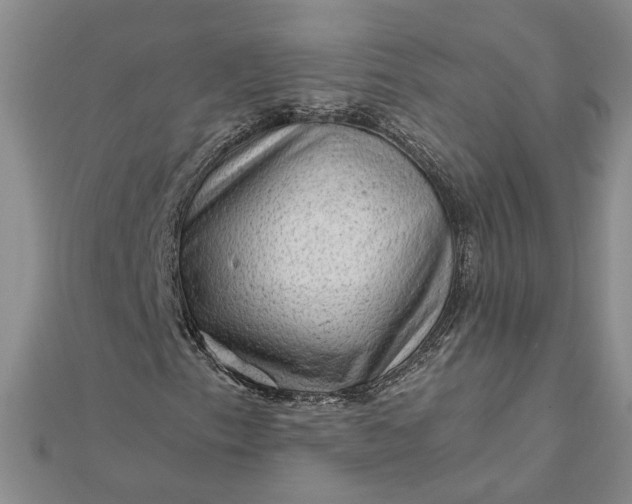 X0000111791153200908061131