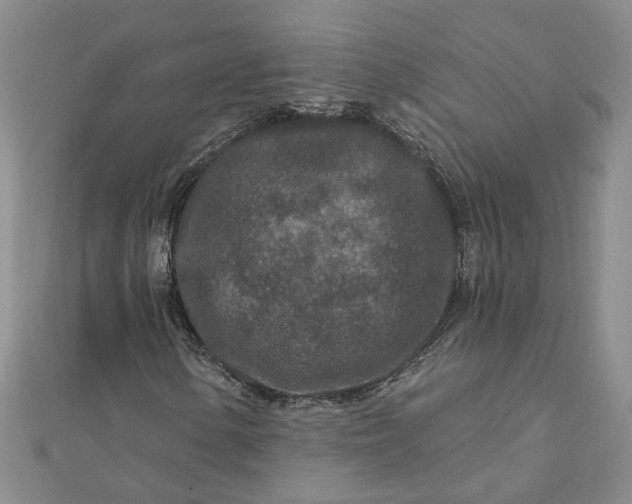 X0000111791154200908061131