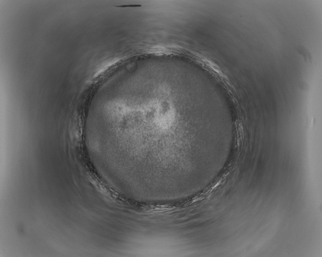 X0000111791158200908061130