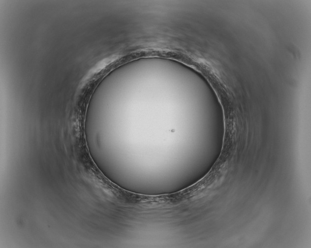 X0000111791159200908061130