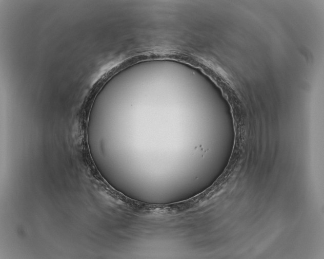 X0000111791160200908061130