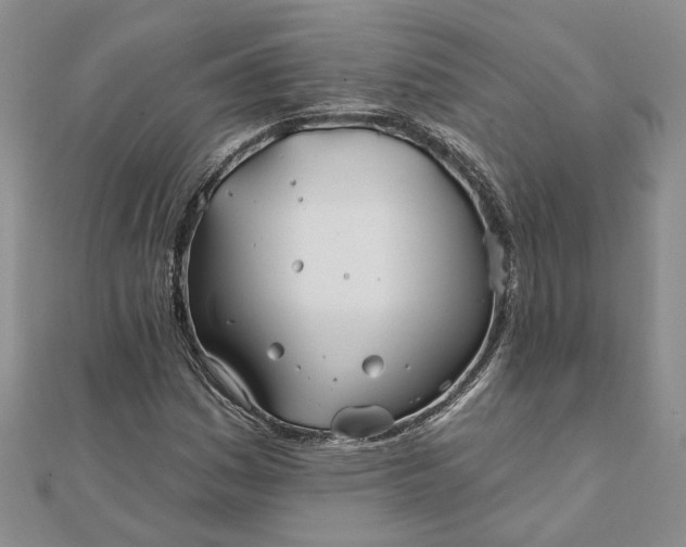 X0000111791161200908061130