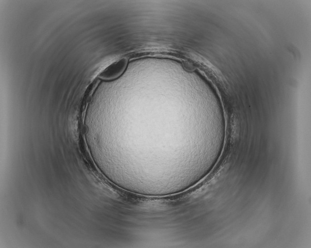 X0000111791162200908061130