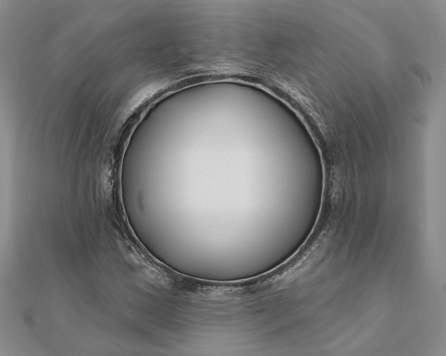 X0000111791163200908061130