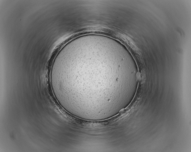 X0000111791164200908061130