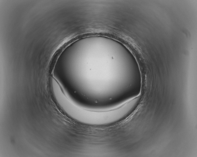 X0000111791165200908061130