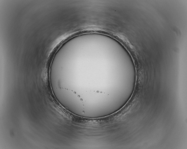 X0000111791167200908061130