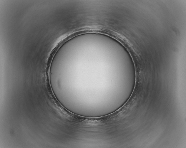 X0000111791168200908061130