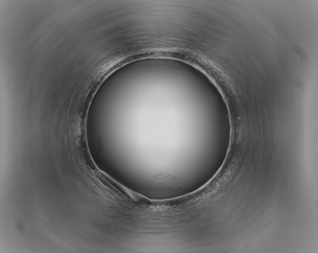 X0000111791169200908061130