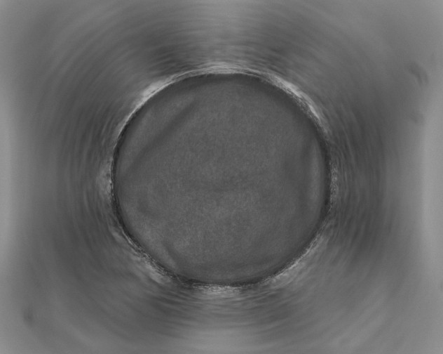 X0000111791170200908061130