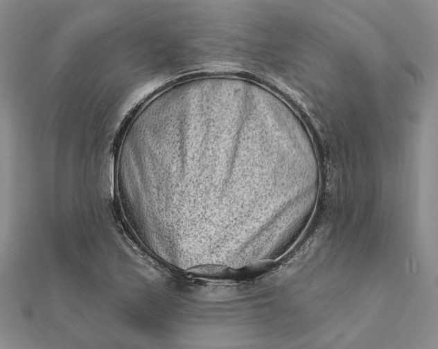 X0000111791171200908061130