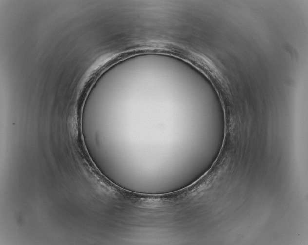 X0000111791172200908061130