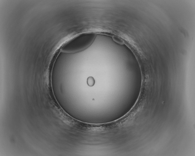 X0000111791173200908061130