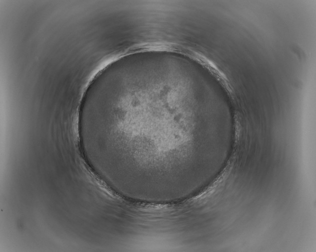 X0000111791174200908061130