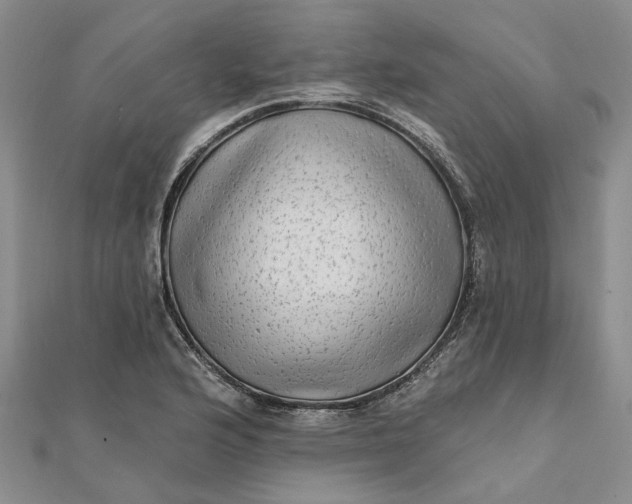 X0000111791176200908061130