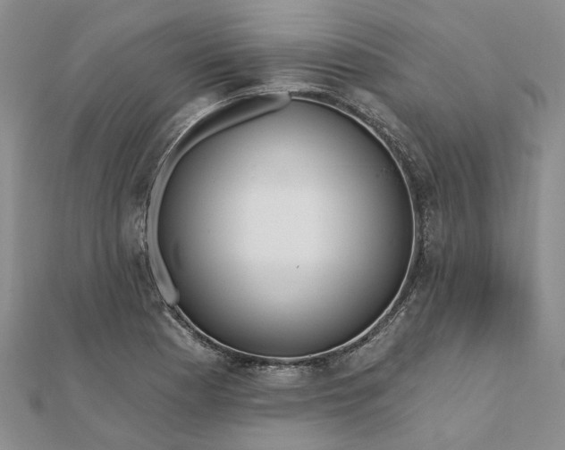 X0000111791177200908061130