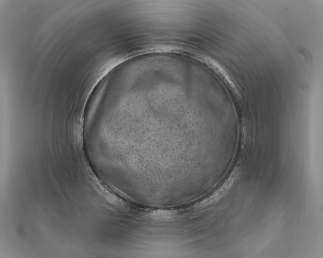 X0000111791178200908061130