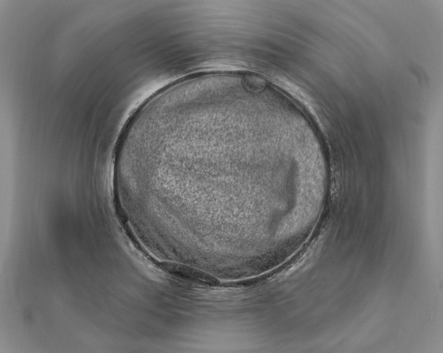 X0000111791179200908061130