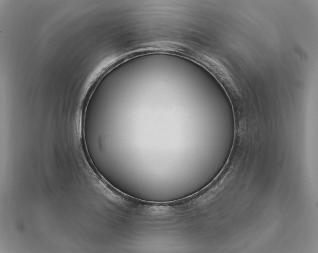 X0000111791180200908061130