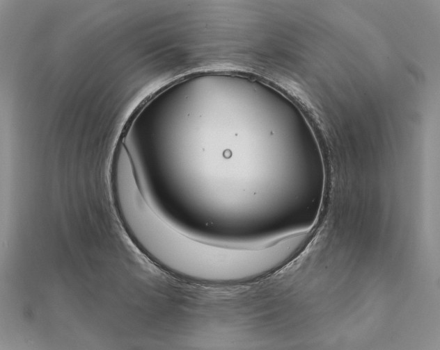 X0000111791181200908061130