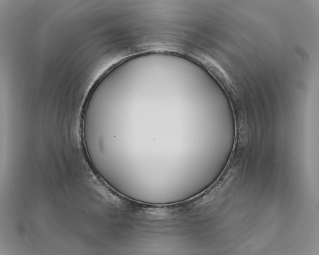 X0000111791182200908061130