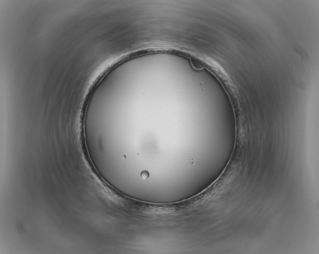 X0000111791183200908061130