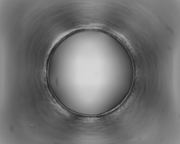 X0000111791184200908061130